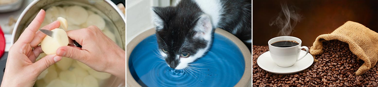 Uses for Water Filtration