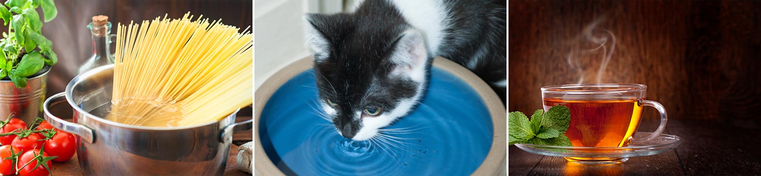 Uses for Water Filtration