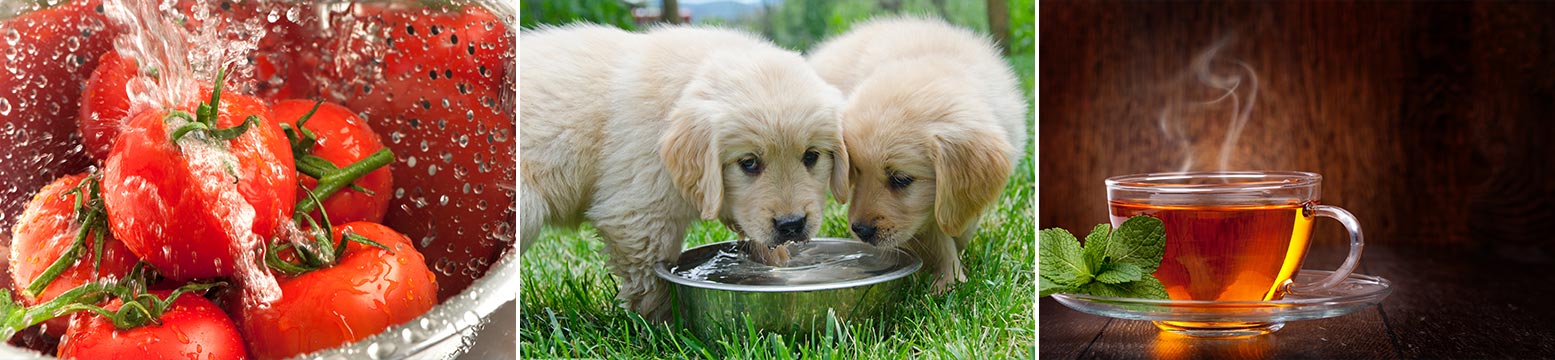 More Uses Than Bottled Water