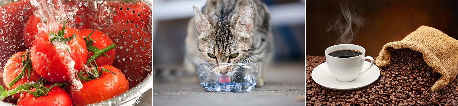 More Uses Than Bottled Water