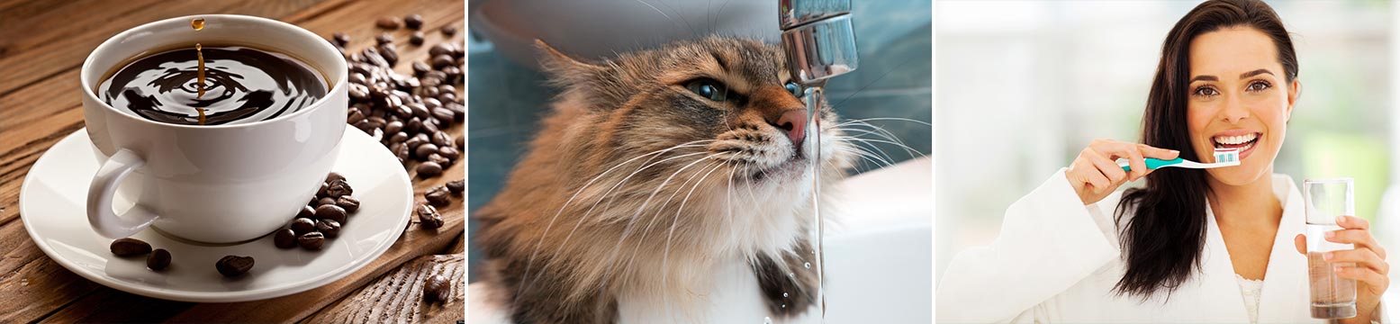 Uses for Water Filtration