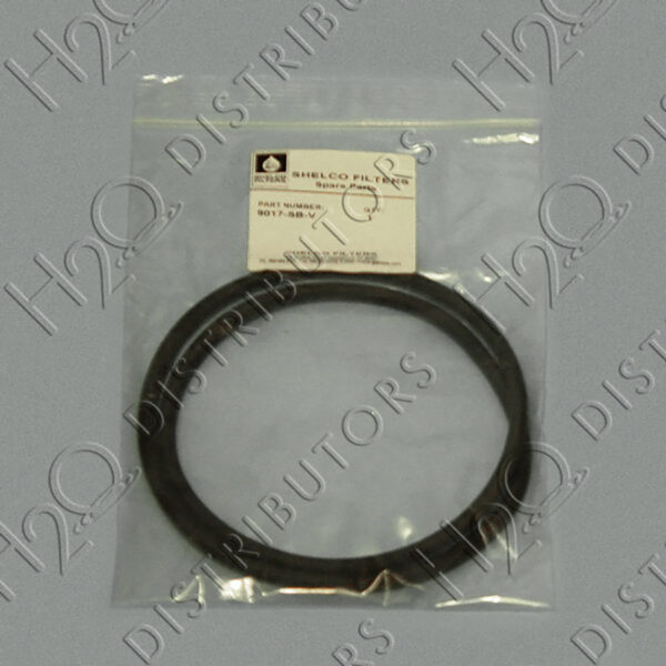 Gasket for 4FOS, 5FOS, BFC, & BFS Series, Viton (Swing Bolt Style)