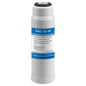 10" x 2-1/2" Granular Activated Carbon (GAC) Water Filter