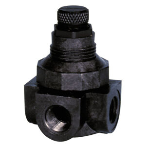 P60-4 Watts Pressure-Reducing Valve, 1/4" FPT, Adjustable 50 PSI